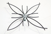 //www.thewakefieldbrush.com/cdn/shop/products/bullet14_large_large.png?v=1404822103